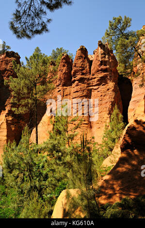 Große ockerfarbene Wand- und Kiefern, Roussillon, Provence, Frankreich Stockfoto