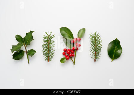 Sammlung des dekorativen Weihnachten Pflanzen mit grünen Blättern und Stechpalme Beeren. Stockfoto