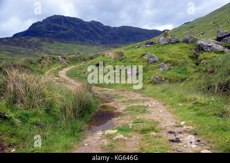 Die Spur im Glen klendrum Führende in die schottischen Berge Corbett creag Mac ranaich, Scottish Highlands, Großbritannien Stockfoto