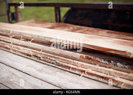 Frisch grob gesägten Bretter Bauholz neben einem tragbaren Fräsmaschine in Nahaufnahme der Stapel schneiden Stockfoto