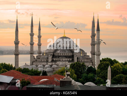 Möwen über die Blaue Moschee und den Bosporus in Istanbul, Türkei Stockfoto