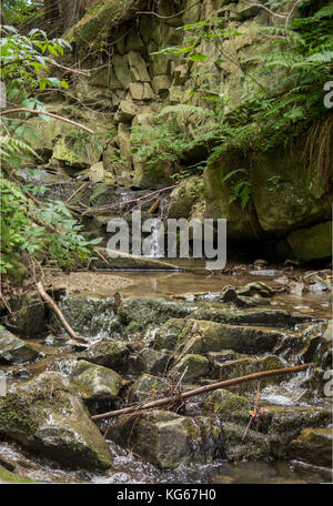 Kleine Wasserfälle auf einem Strom in den Bergen Stockfoto