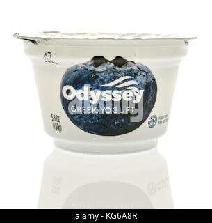 Winneconne, WI - 31. Oktober 2017: Ein Behälter mit griechischem Joghurt Odyssey auf einem isolierten Hintergrund. Stockfoto