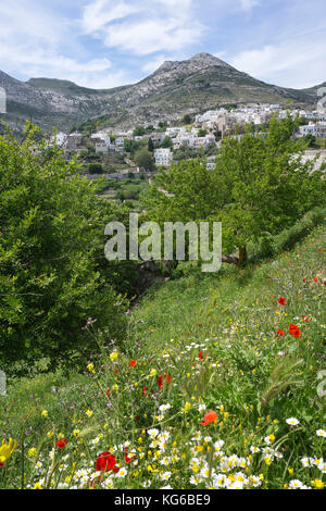 Blick auf das Bergdorf Apiranthos, Insel Naxos, Kykladen, Ägäis, Griechenland Stockfoto