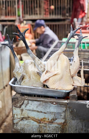 Lijiang, Yunnan, China - 27. September 2017: Schließen Sie herauf Bild von Geflügel auf einem Tablett an der lokalen Fleischmarkt. Stockfoto