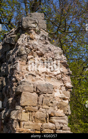 Historische Mauerreste einer Burganlage Stockfoto