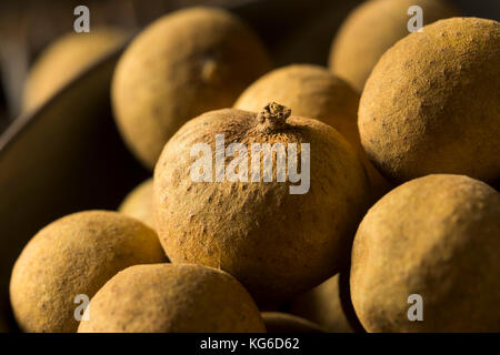 Raw organic Brown longan Früchte in eine Schüssel geben. Stockfoto