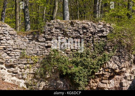 Historische Mauerreste einer Burganlage Stockfoto