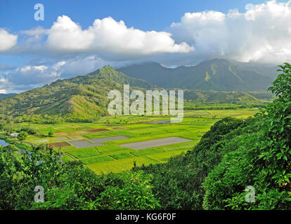 Hanalei Valley auf der Insel Kauai og Stockfoto