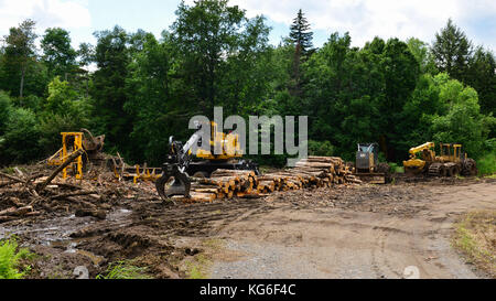 Anmelden Website in den Adirondack, New York Wald mit log Skidder, Lader, Säge, delimber und ein Haufen von Logs bereit zu laden und zu transportieren. Stockfoto