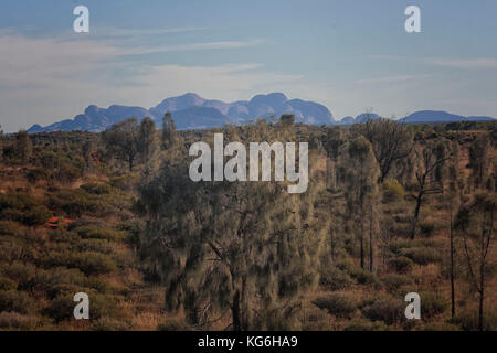 Die Olgas Australien Stockfoto