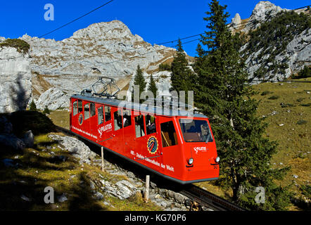 Rote Triebwagen der Pilatus Eisenbahn auf dem Weg nach oben auf den Pilatus, alpnachstad, Schweiz Stockfoto