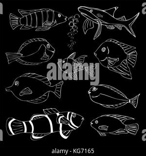 Skizze von Seefisch. doodle Vector Illustration Stock Vektor