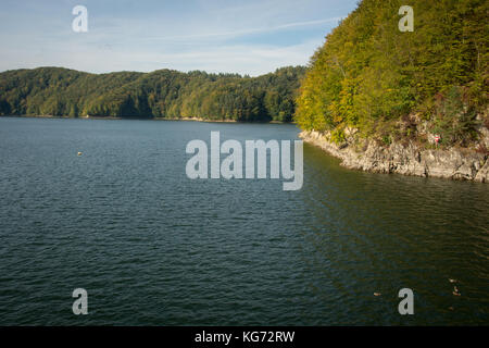 Wald über den See in die Berge während der frühen Herbst Stockfoto