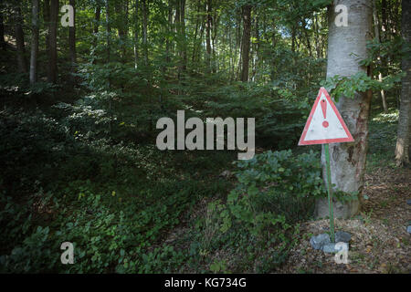 Leeres Namensschild vor einem Herbst Wald Stockfoto