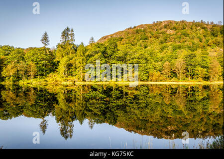 Wunderschöne Reflexionen der Herbstfarben in thirlmere im Lake District National Park Stockfoto