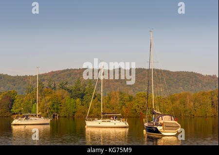 Yachten fangen die frühe Morgensonne auf einem sehr noch den Lake Windermere im Lake District National Park in Cumbria Stockfoto