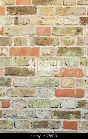 Alte vintage Mauer Textur Nahaufnahme Stockfoto