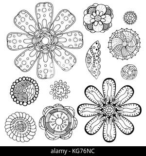 Satz von sketchy monochrome doodle Blumen und Blätter. Vector Illustration Stock Vektor