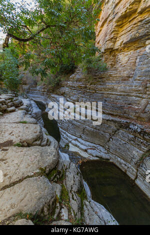 Papingo rock pool Formationen und überhängenden Ast in der Nähe von papingo Dorf in Epirus, Griechenland Stockfoto