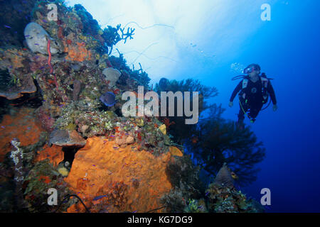 Scuba Diver an senkrechter Wand, Exumas, Bahama Inseln Stockfoto