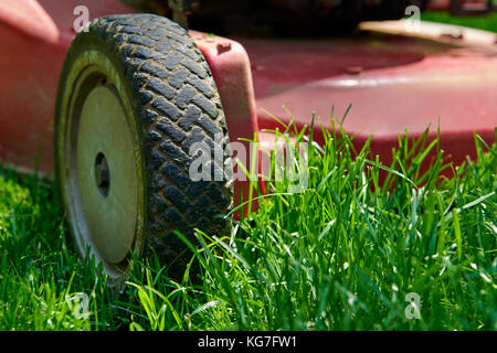 Low Angle Nahaufnahme von Rasenmäher mähen, Schneiden frisches grünes Gras Stockfoto