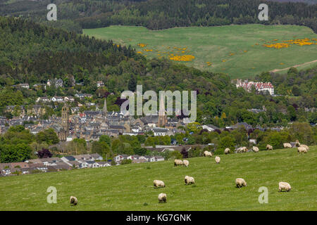 Peebles, in den schottischen Borders, sitzt im Tweed Valley 20 Meilen südlich von Edinburgh Stockfoto