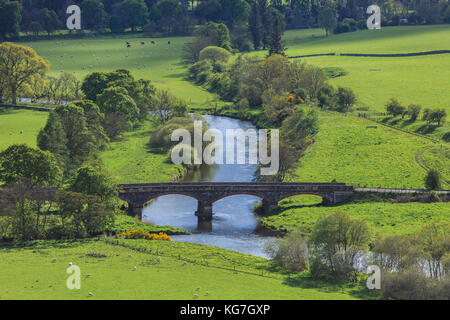 Manor Brücke überquert den Fluss Tweed vor den Toren der Stadt Peebles in den Borders Region in Schottland Stockfoto