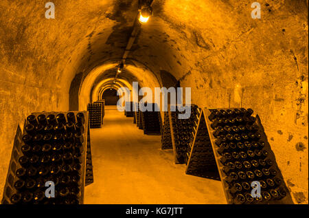 Reims, Frankreich - 12. Juni 2017: die Grotten von Champagner Haus taittinger mit alten Flaschen Champagner in Pupitres, Frankreich. Stockfoto