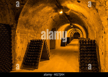 Reims, Frankreich - 12. Juni 2017: die Grotten von Champagner Haus taittinger mit alten Flaschen Champagner in Pupitres, Frankreich. Stockfoto