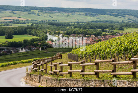 Cumieres, Frankreich - Juni 9, 2017: Weinberge von Moet Chandon in der Nähe von Hautvillers und Epernay in der Champagne in Frankreich. Stockfoto