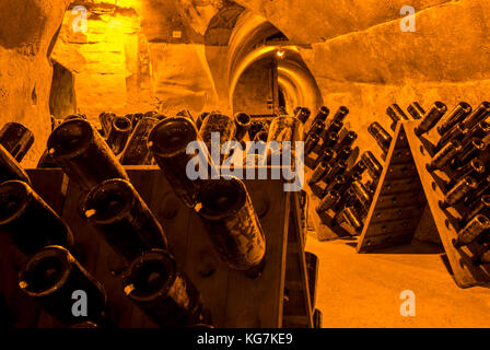 Reims, Frankreich - 12. Juni 2017: die Grotten von Champagner Haus taittinger mit alten Flaschen Champagner in Pupitres, Frankreich. Stockfoto