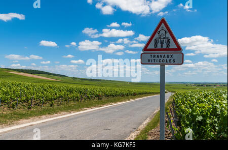 Epernay, Frankreich - 10. Juni 2017: Straßenschild „Travaux Viticoles“, Arbeit auf den Weinbergen im Viertel Champagne, Frankreich. Stockfoto