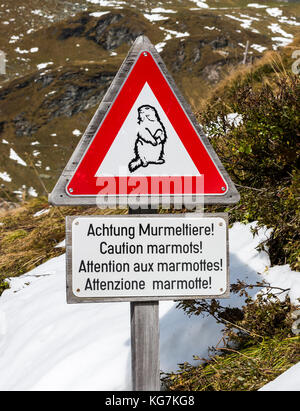 Großglockner, Österreich - September 26,2017: Zeichen der Berg Murmeltier in den Bergen im Salzburger Land an der Großglockner-Hochalpenstraße, aus Stockfoto