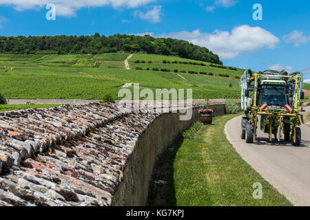 Oger, Frankreich - 12. Juni 2017: Straße mit Weintraktor und Weinbergen bei Oger mit großer Mauer um Weinberg, nahe Epernay im Champagne-Viertel, Fr. Stockfoto