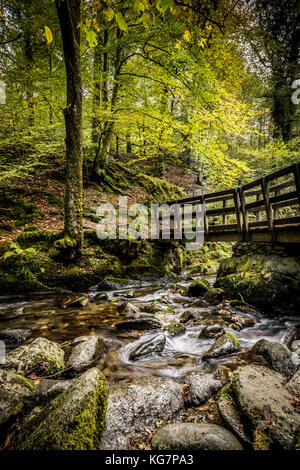 Lieferbar Ghyll Kraft in der Nähe von Ambleside im Nationalpark Lake District in Cumbria, Großbritannien Stockfoto