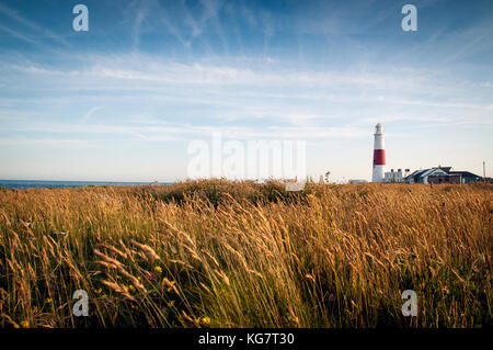 Fernsicht auf Portland Bill Leuchtturm im Abendlicht Stockfoto