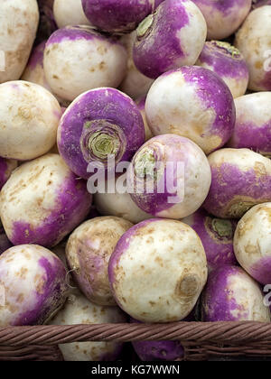 Frisch geerntetes rohes Gemüse der Schweden in einem Korb auf einem Bauernmarkt Stockfoto