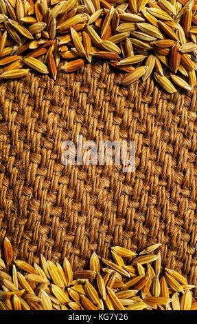 Unhusked Rohreis auf gunnysack Textur Hintergrund. Kopieren Sie Raum zum Schreiben. selektive Fokus Schuß von oben. Stockfoto