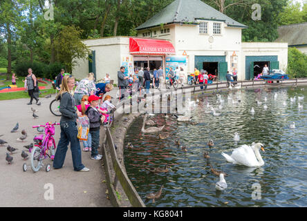 Männer, Frauen und Kinder füttern die Enten und Schwäne auf dem See im Stanley Park in Blackpool, Lancashire Stockfoto