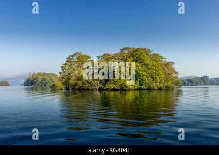 Bäume wachsen auf einer kleinen Insel in der Mitte des Lake Windermere im Lake District National Park, Cumbria Stockfoto