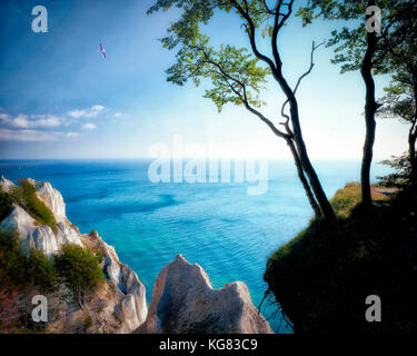 DK - INSEL MON: Mons Klint Coast Stockfoto