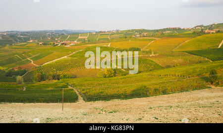 Panoramablick auf den berühmten Weinbergen des Piemont, Langhe und Monferrato und Roero Gebiet Stockfoto