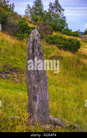 Der Hoga rune Stone (Hogastenen) auf Orust, Bohuslän County, Schweden. Stockfoto