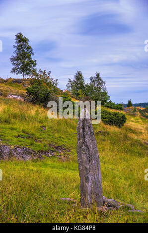 Der Hoga rune Stone (Hogastenen) auf Orust, Bohuslän County, Schweden. Stockfoto