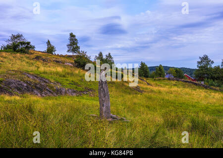 Der Hoga rune Stone (Hogastenen) auf Orust, Bohuslän County, Schweden. Stockfoto