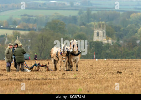 Rutland, Großbritannien. November 2017. Grauer feuchter Tag für die Teilnehmer in der jährlichen Pflügen Veranstaltung zieht Dampf, Pferd, Vintage-Traktor und modernen Traktoren, Spektoren trotzt dem schlammigen Feld. Clifford Norton/Alamy Live News Stockfoto