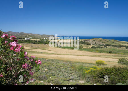 Küste Landschaft an der Nordseite der Insel Naxos, Kykladen, Ägäis, Griechenland Stockfoto