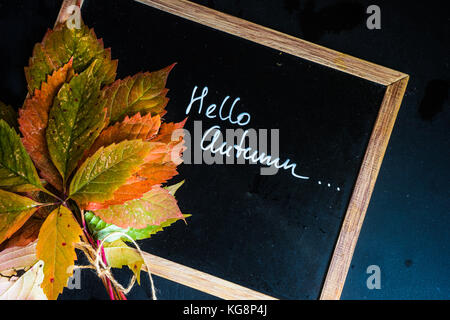Helle Herbstliche Blätter auf Schiefertafel mit Copyspace Stockfoto