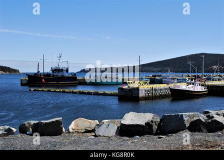Fischerboote und Tour Boote bis an das Dock gebunden, Bay Bulls, Newfoundland Labrador, Kanada Stockfoto